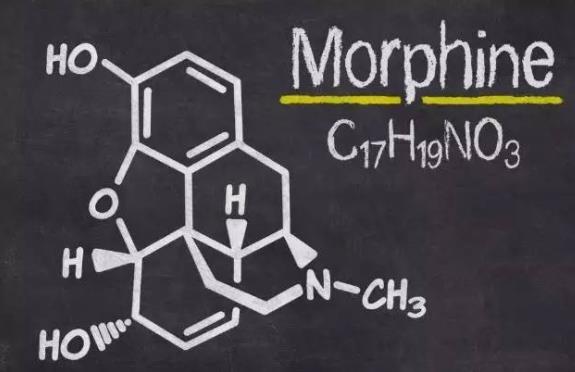 怎么戒吗啡?吗啡的副作用有哪些?